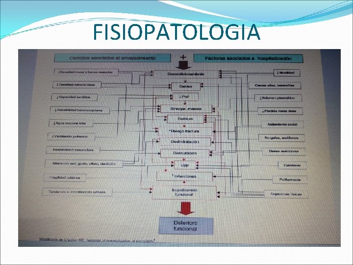 FISIOPATOLOGIA 