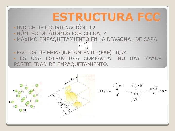 ESTRUCTURA FCC • • • INDICE DE COORDINACIÓN: 12 NÚMERO DE ÁTOMOS POR CELDA: ESTRUCTURA FCC • • • INDICE DE COORDINACIÓN: 12 NÚMERO DE ÁTOMOS POR CELDA: