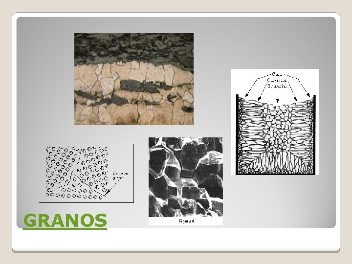 GRANOS GRANOS