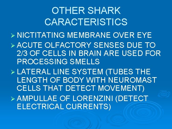 OTHER SHARK CARACTERISTICS Ø NICTITATING MEMBRANE OVER EYE Ø ACUTE OLFACTORY SENSES DUE TO OTHER SHARK CARACTERISTICS Ø NICTITATING MEMBRANE OVER EYE Ø ACUTE OLFACTORY SENSES DUE TO