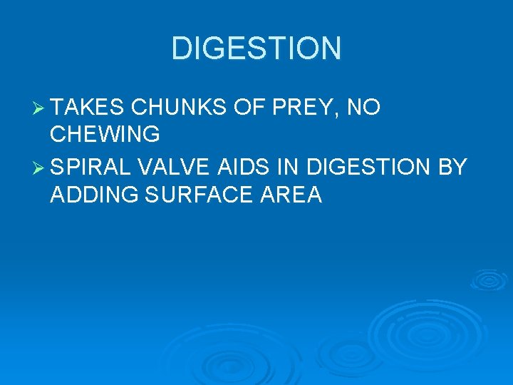 DIGESTION Ø TAKES CHUNKS OF PREY, NO CHEWING Ø SPIRAL VALVE AIDS IN DIGESTION DIGESTION Ø TAKES CHUNKS OF PREY, NO CHEWING Ø SPIRAL VALVE AIDS IN DIGESTION