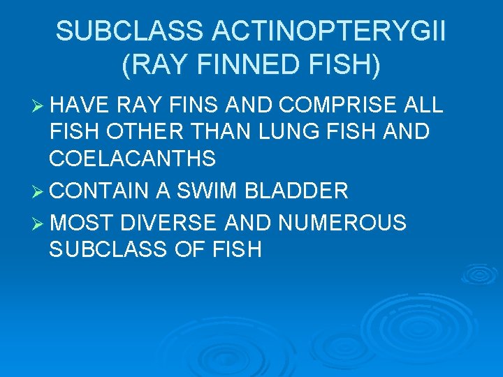 SUBCLASS ACTINOPTERYGII (RAY FINNED FISH) Ø HAVE RAY FINS AND COMPRISE ALL FISH OTHER SUBCLASS ACTINOPTERYGII (RAY FINNED FISH) Ø HAVE RAY FINS AND COMPRISE ALL FISH OTHER