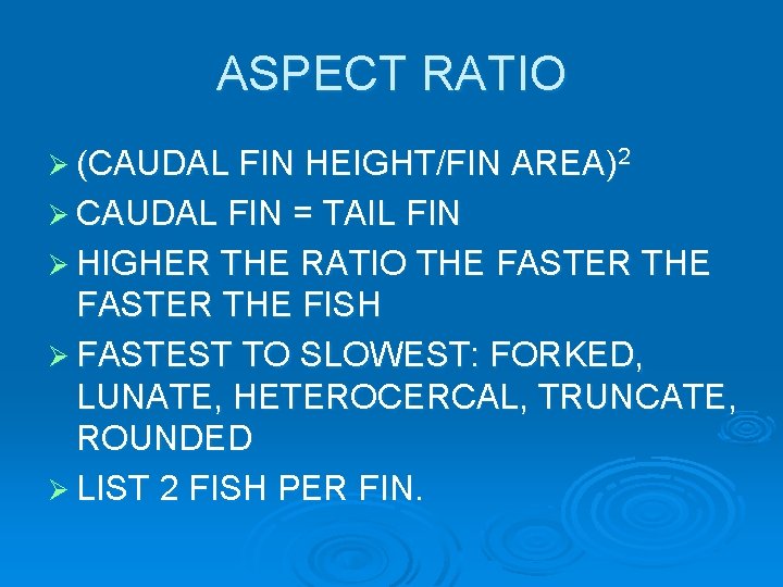ASPECT RATIO Ø (CAUDAL FIN HEIGHT/FIN AREA)2 Ø CAUDAL FIN = TAIL FIN Ø ASPECT RATIO Ø (CAUDAL FIN HEIGHT/FIN AREA)2 Ø CAUDAL FIN = TAIL FIN Ø
