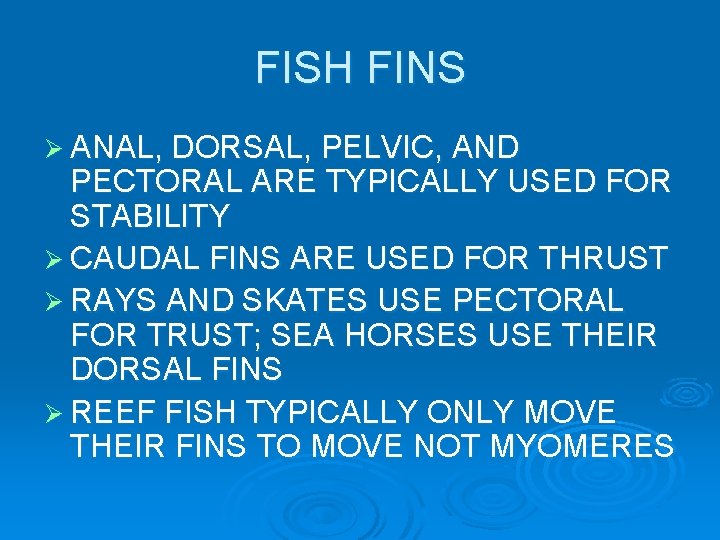 FISH FINS Ø ANAL, DORSAL, PELVIC, AND PECTORAL ARE TYPICALLY USED FOR STABILITY Ø FISH FINS Ø ANAL, DORSAL, PELVIC, AND PECTORAL ARE TYPICALLY USED FOR STABILITY Ø