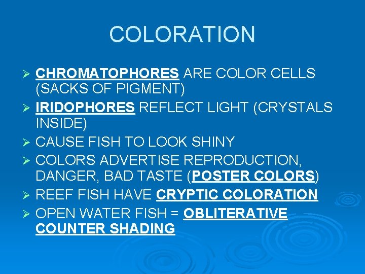 COLORATION CHROMATOPHORES ARE COLOR CELLS (SACKS OF PIGMENT) Ø IRIDOPHORES REFLECT LIGHT (CRYSTALS INSIDE) COLORATION CHROMATOPHORES ARE COLOR CELLS (SACKS OF PIGMENT) Ø IRIDOPHORES REFLECT LIGHT (CRYSTALS INSIDE)