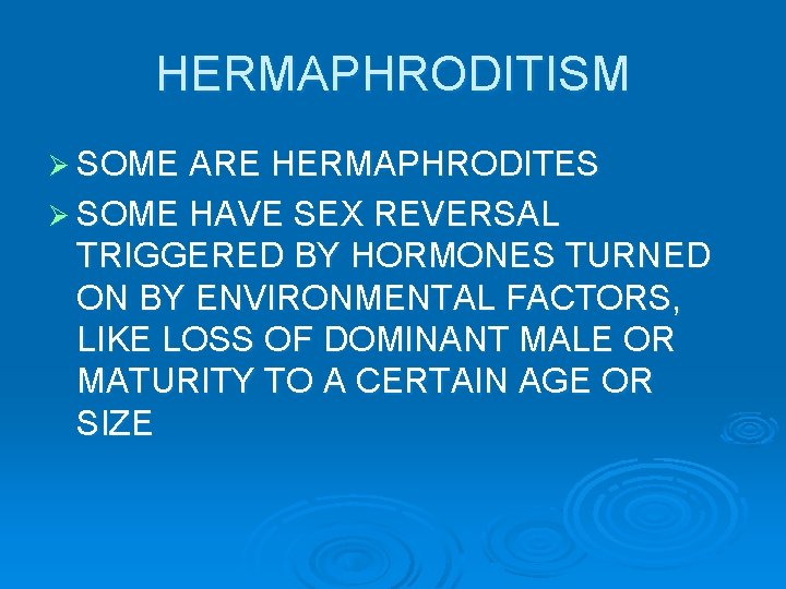 HERMAPHRODITISM Ø SOME ARE HERMAPHRODITES Ø SOME HAVE SEX REVERSAL TRIGGERED BY HORMONES TURNED HERMAPHRODITISM Ø SOME ARE HERMAPHRODITES Ø SOME HAVE SEX REVERSAL TRIGGERED BY HORMONES TURNED