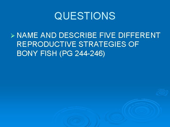 QUESTIONS Ø NAME AND DESCRIBE FIVE DIFFERENT REPRODUCTIVE STRATEGIES OF BONY FISH (PG 244 QUESTIONS Ø NAME AND DESCRIBE FIVE DIFFERENT REPRODUCTIVE STRATEGIES OF BONY FISH (PG 244