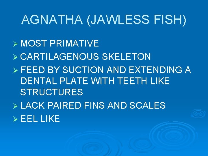 AGNATHA (JAWLESS FISH) Ø MOST PRIMATIVE Ø CARTILAGENOUS SKELETON Ø FEED BY SUCTION AND AGNATHA (JAWLESS FISH) Ø MOST PRIMATIVE Ø CARTILAGENOUS SKELETON Ø FEED BY SUCTION AND