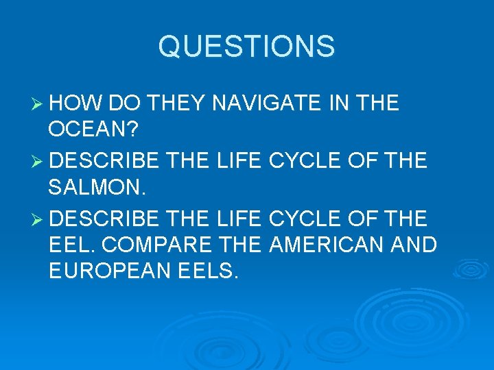 QUESTIONS Ø HOW DO THEY NAVIGATE IN THE OCEAN? Ø DESCRIBE THE LIFE CYCLE QUESTIONS Ø HOW DO THEY NAVIGATE IN THE OCEAN? Ø DESCRIBE THE LIFE CYCLE