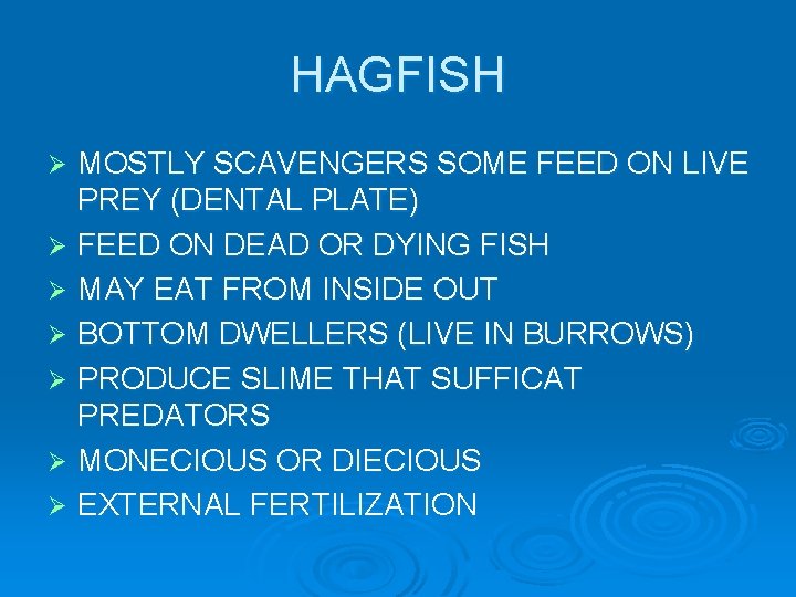 HAGFISH MOSTLY SCAVENGERS SOME FEED ON LIVE PREY (DENTAL PLATE) Ø FEED ON DEAD HAGFISH MOSTLY SCAVENGERS SOME FEED ON LIVE PREY (DENTAL PLATE) Ø FEED ON DEAD