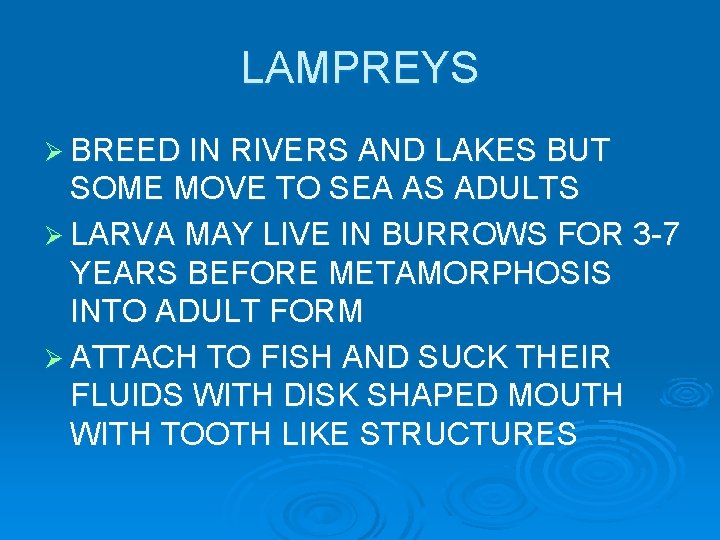 LAMPREYS Ø BREED IN RIVERS AND LAKES BUT SOME MOVE TO SEA AS ADULTS LAMPREYS Ø BREED IN RIVERS AND LAKES BUT SOME MOVE TO SEA AS ADULTS