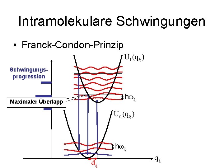 Intramolekulare Schwingungen • Franck-Condon-Prinzip Schwingungsprogression Maximaler Überlapp 