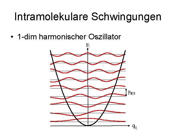 Intramolekulare Schwingungen • 1 -dim harmonischer Oszillator 