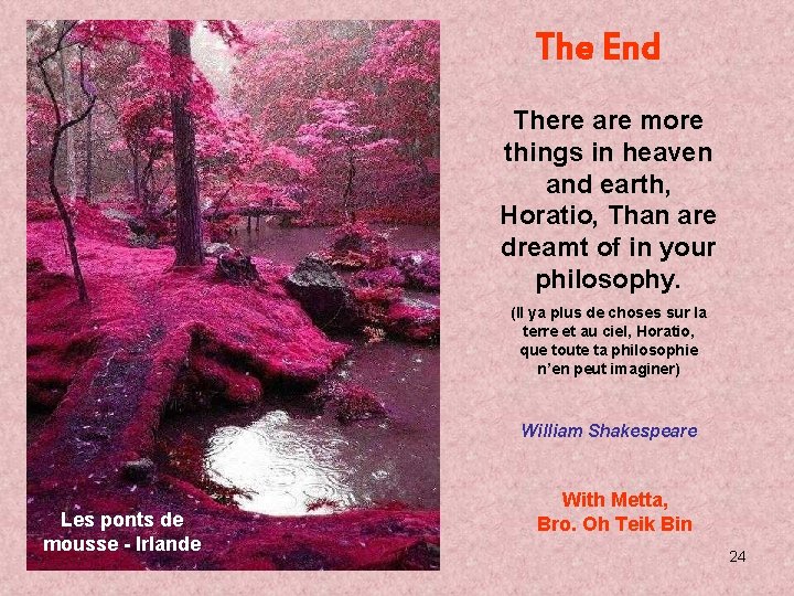 The End There are more things in heaven and earth, Horatio, Than are dreamt