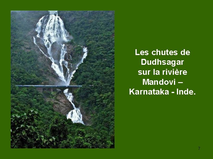 Les chutes de Dudhsagar sur la rivière Mandovi – Karnataka - Inde. 7 