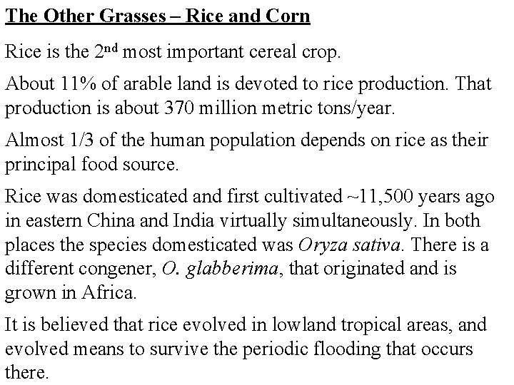 The Other Grasses – Rice and Corn Rice is the 2 nd most important