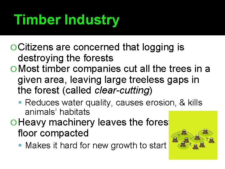 Timber Industry Citizens are concerned that logging is destroying the forests Most timber companies