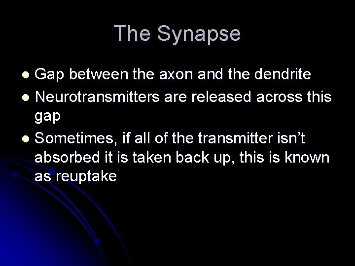 The Synapse Gap between the axon and the dendrite l Neurotransmitters are released across