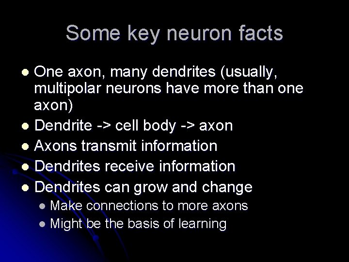 Some key neuron facts One axon, many dendrites (usually, multipolar neurons have more than
