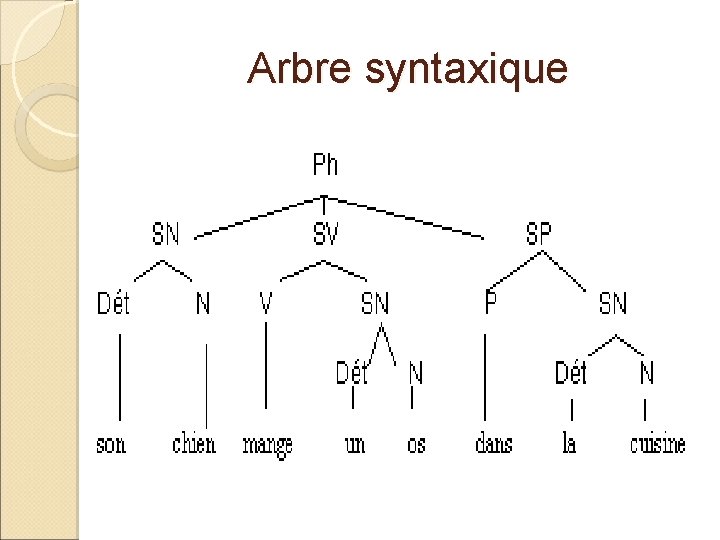 Arbre syntaxique 