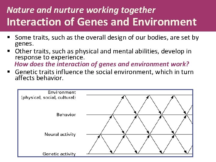 Nature and nurture working together Interaction of Genes and Environment § Some traits, such