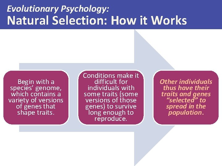 Evolutionary Psychology: Natural Selection: How it Works Begin with a species’ genome, which contains