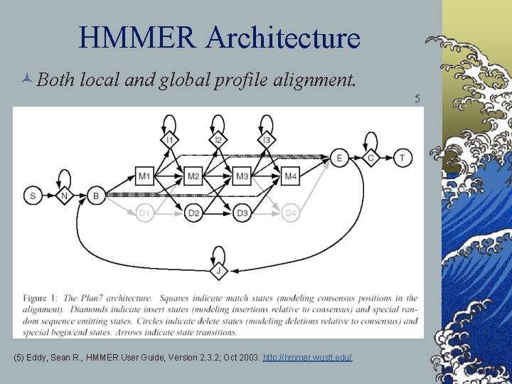 HMMER Architecture © Both local and global profile alignment. 5 (5) Eddy, Sean R.