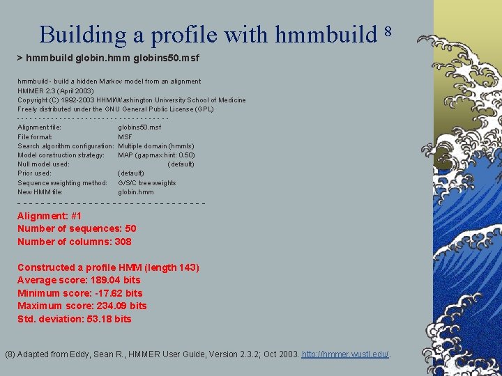 Building a profile with hmmbuild 8 > hmmbuild globin. hmm globins 50. msf hmmbuild