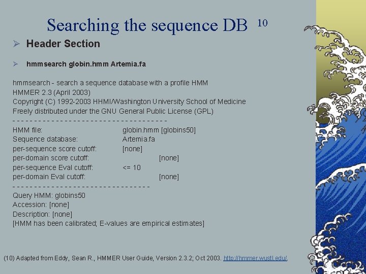 Searching the sequence DB 10 Ø Header Section Ø hmmsearch globin. hmm Artemia. fa