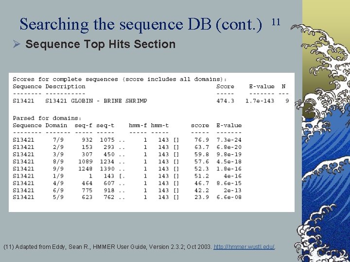 Searching the sequence DB (cont. ) 11 Ø Sequence Top Hits Section (11) Adapted