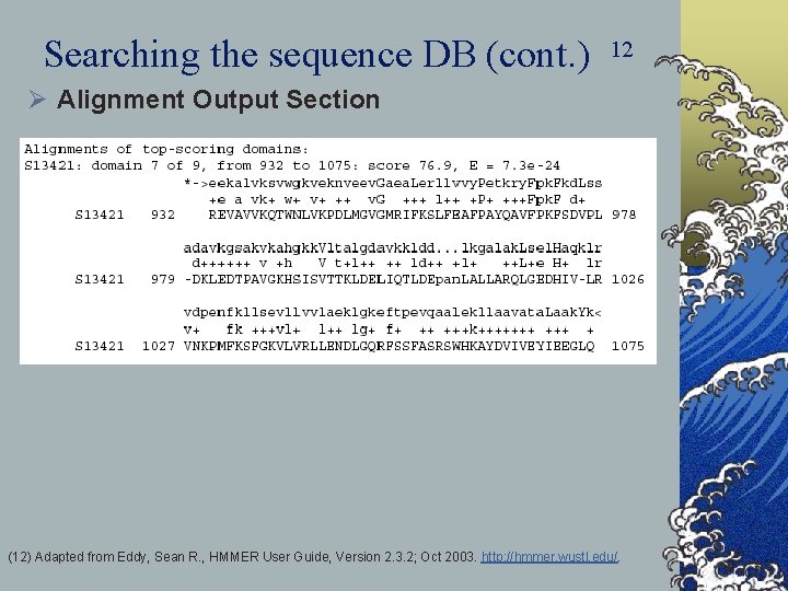 Searching the sequence DB (cont. ) 12 Ø Alignment Output Section (12) Adapted from