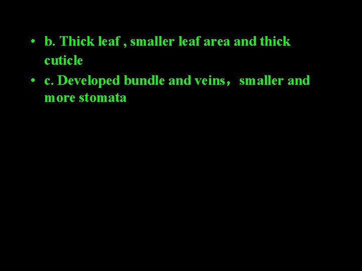  • b. Thick leaf , smaller leaf area and thick cuticle。 • c.