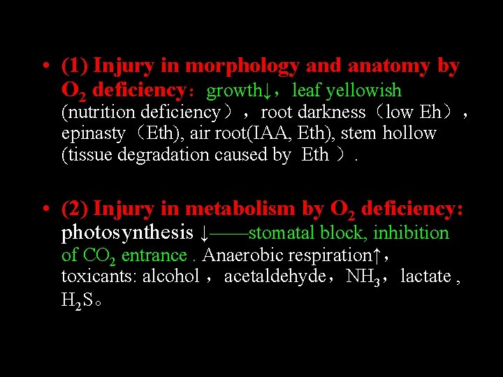  • (1) Injury in morphology and anatomy by O 2 deficiency：growth↓，leaf yellowish (nutrition