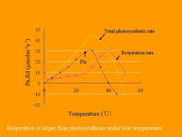 Pn, Rd ( molm-2 s-1) Total photosynthetic rate Respiration rate Pn Temperature (℃) Respiration