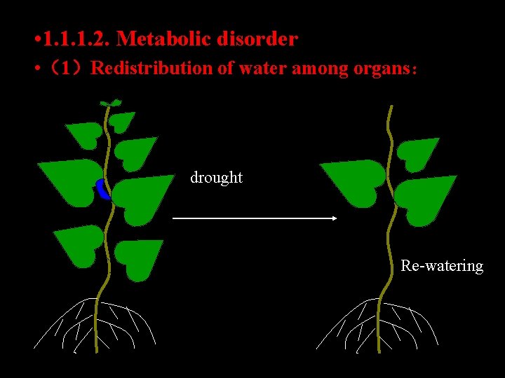  • 1. 1. 1. 2. Metabolic disorder • （1）Redistribution of water among organs：