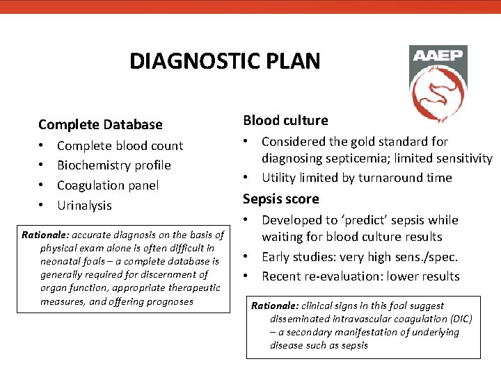DIAGNOSTIC PLAN Complete Database • • Complete blood count Biochemistry profile Coagulation panel Urinalysis DIAGNOSTIC PLAN Complete Database • • Complete blood count Biochemistry profile Coagulation panel Urinalysis