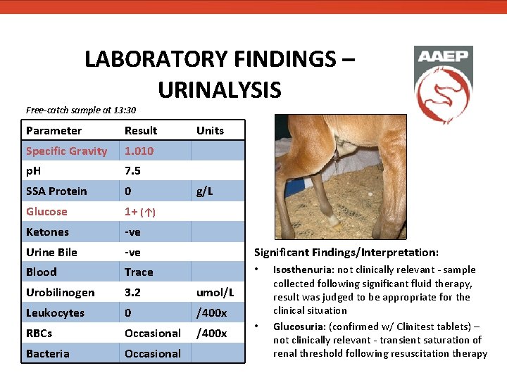 LABORATORY FINDINGS – URINALYSIS Free-catch sample at 13: 30 Parameter Result Units Specific Gravity LABORATORY FINDINGS – URINALYSIS Free-catch sample at 13: 30 Parameter Result Units Specific Gravity