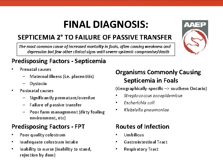FINAL DIAGNOSIS: SEPTICEMIA 2° TO FAILURE OF PASSIVE TRANSFER The most common cause of FINAL DIAGNOSIS: SEPTICEMIA 2° TO FAILURE OF PASSIVE TRANSFER The most common cause of