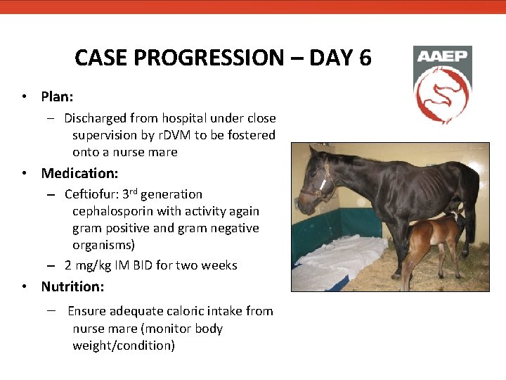 CASE PROGRESSION – DAY 6 • Plan: – Discharged from hospital under close supervision CASE PROGRESSION – DAY 6 • Plan: – Discharged from hospital under close supervision
