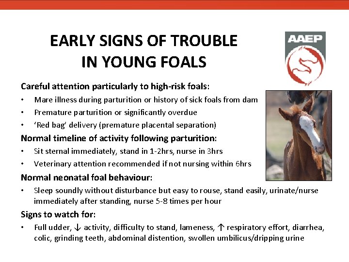 EARLY SIGNS OF TROUBLE IN YOUNG FOALS Careful attention particularly to high-risk foals: • EARLY SIGNS OF TROUBLE IN YOUNG FOALS Careful attention particularly to high-risk foals: •