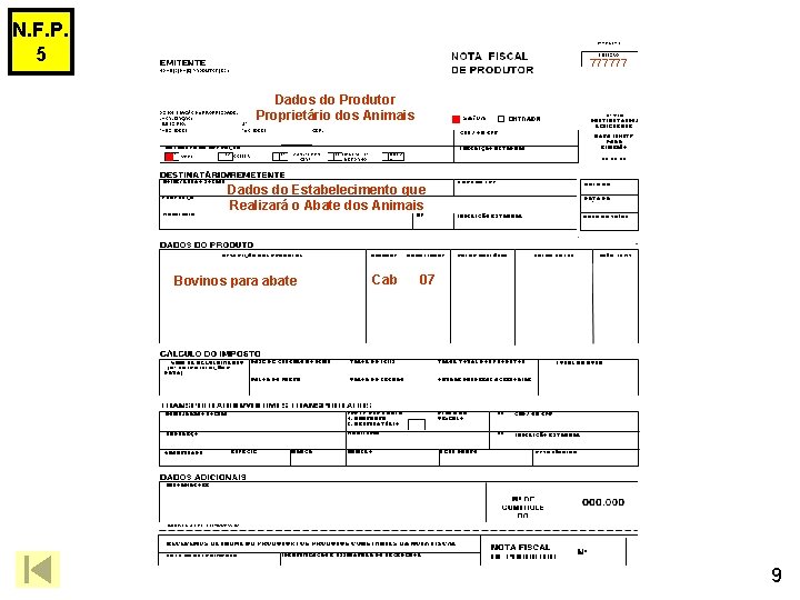 N. F. P. 5 777777 Dados do Produtor Proprietário dos Animais Dados do Estabelecimento