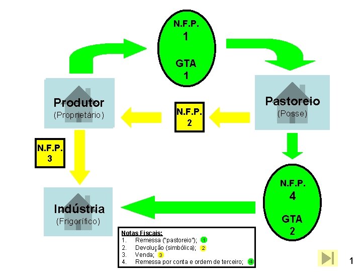 N. F. P. 11 GTA 1 Produtor (Proprietário) Pastoreio N. F. P. 2 (Posse)