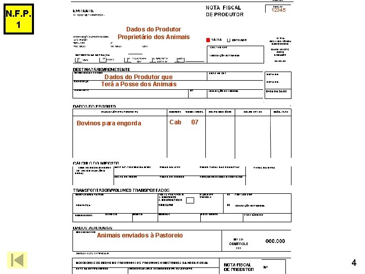 N. F. P. 1 12345 Dados do Produtor Proprietário dos Animais Dados do Produtor
