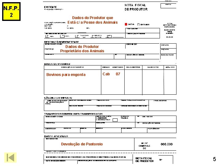 N. F. P. 2 Dados do Produtor que Está c/ a Posse dos Animais