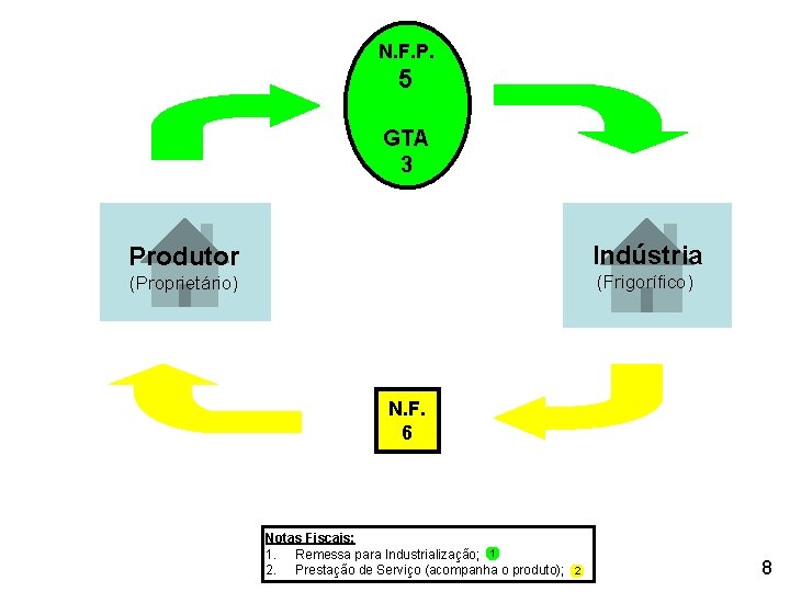 N. F. P. 51 GTA 3 Produtor Indústria (Proprietário) (Frigorífico) N. F. 6 Notas