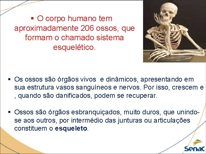 § O corpo humano tem aproximadamente 206 ossos, que formam o chamado sistema esquelético.