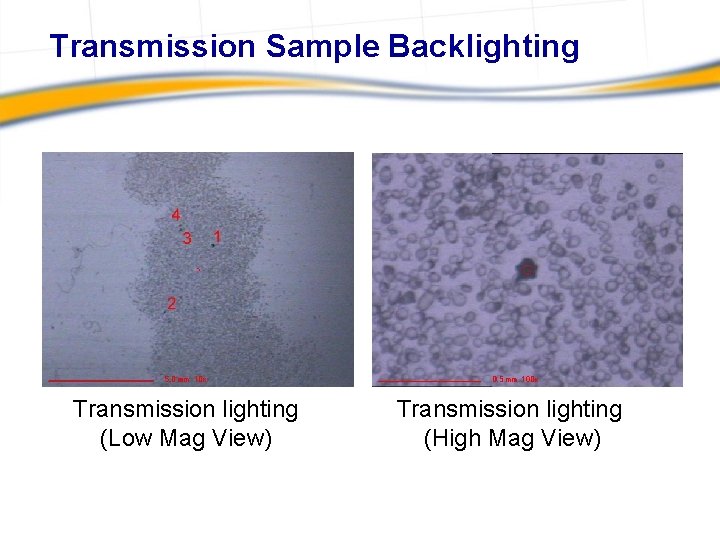 Transmission Sample Backlighting Transmission lighting (Low Mag View) (High Mag View) 