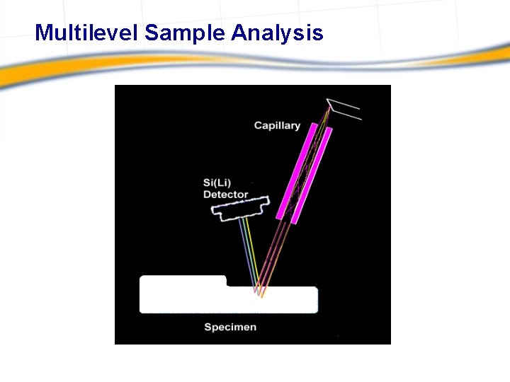 Multilevel Sample Analysis 