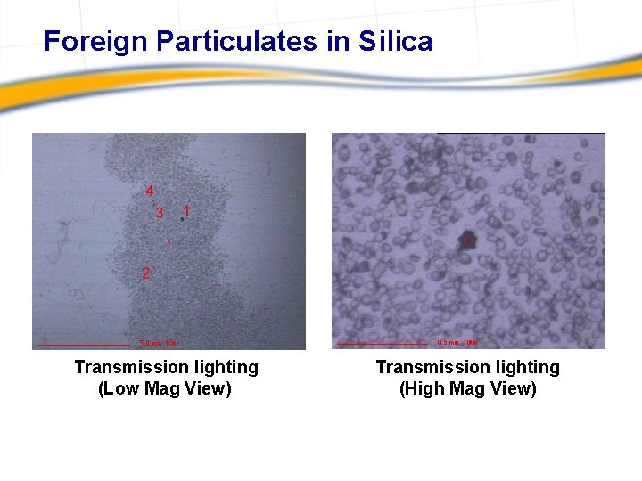 Foreign Particulates in Silica Transmission lighting (Low Mag View) Transmission lighting (High Mag View)