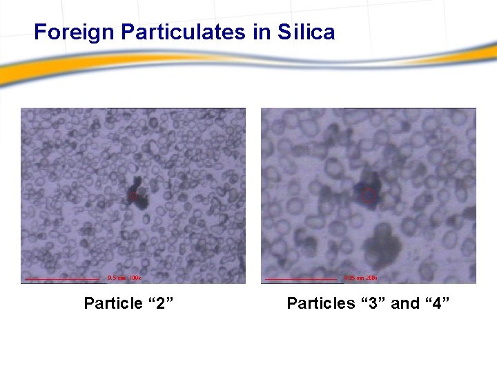 Foreign Particulates in Silica Particle “ 2” Particles “ 3” and “ 4” 